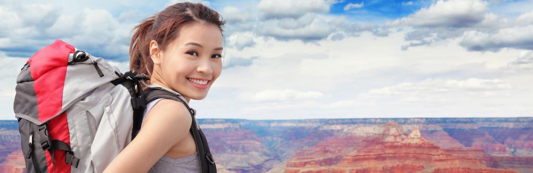 Msig travel insurance