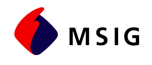 Msig car insurance